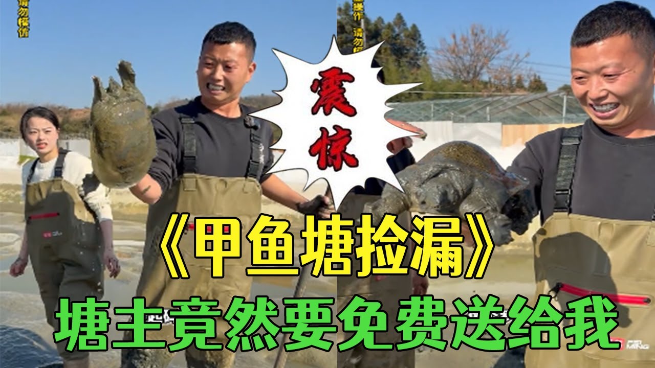 甲魚塘檢漏，塘主竟然要全部免費送給我！比中彩票還開心#小飛哥#護外#鄉村生活#三農#鄉村守護人#包塘