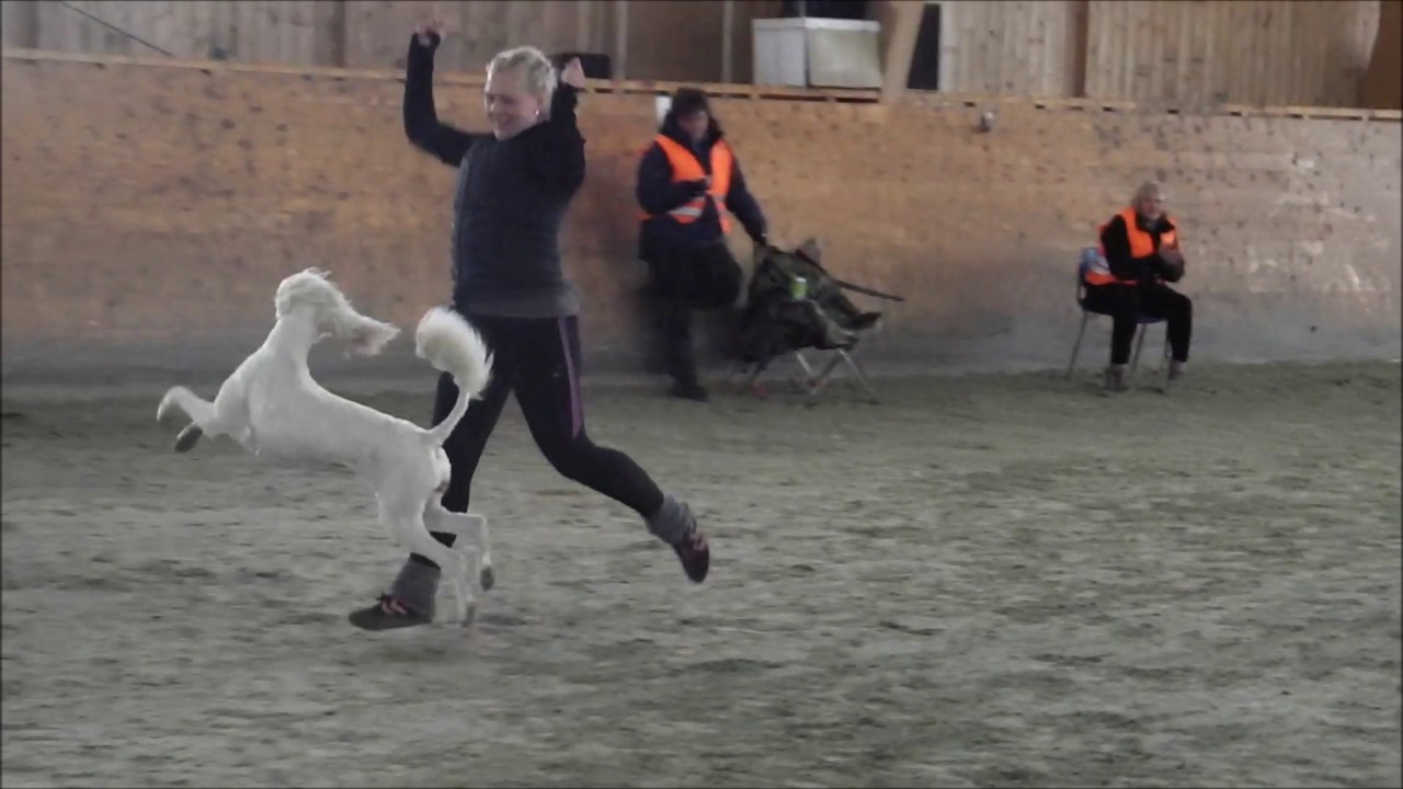 Agility Melsomvik 20140406