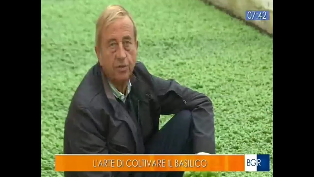 Buongiorno Regione