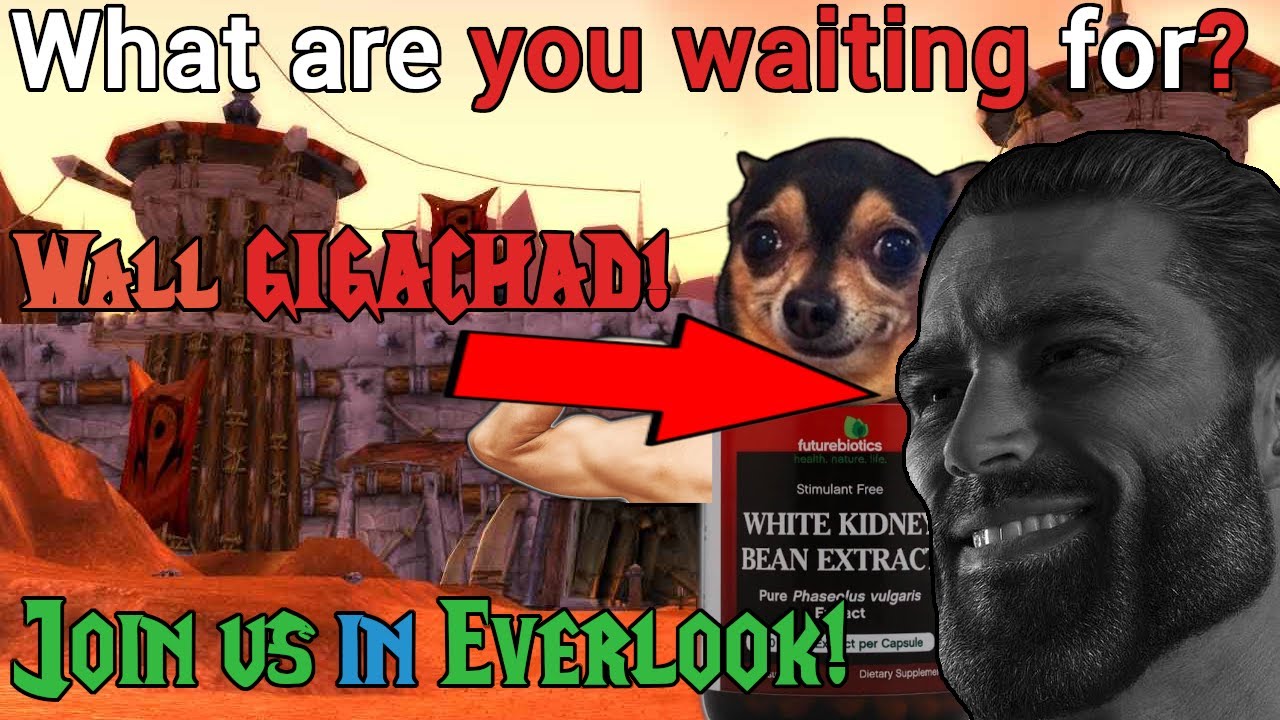 Why I belive in Project Everlook, Whitekidney and his Staff!