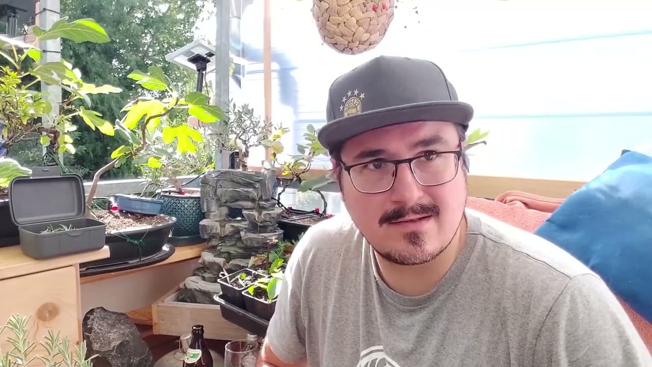 R3B Rosmarin Teil 1 vom Steckling auf dem Weg zum Bonsai