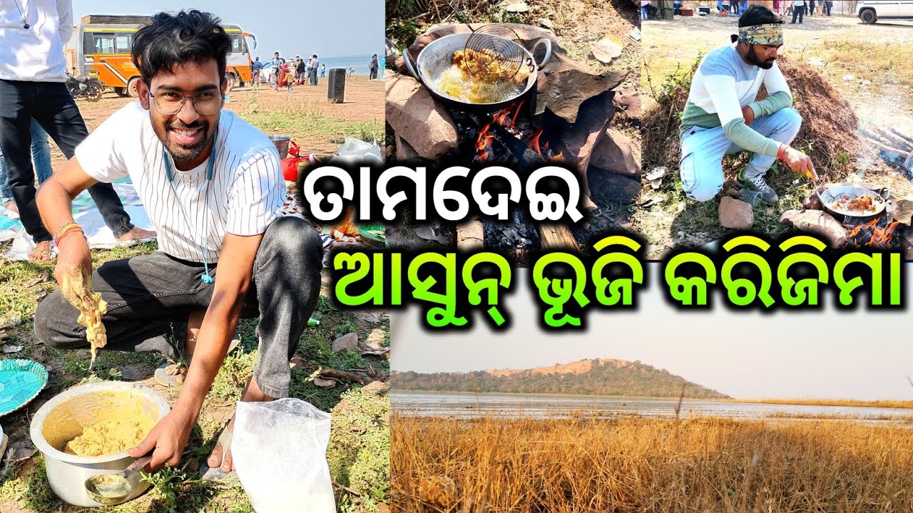 ତାମଦେଇ ଆସୁନ୍ ଭୂଜି କରିଜିମା / tamdei picnic spot/ tamdei picnic spot video tamdei picnic spot bargarh