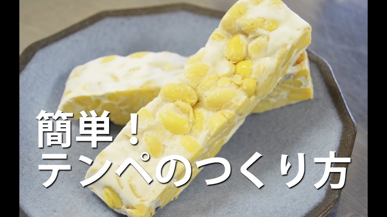 テンペのつくり方-How to make delicious Tempeh-