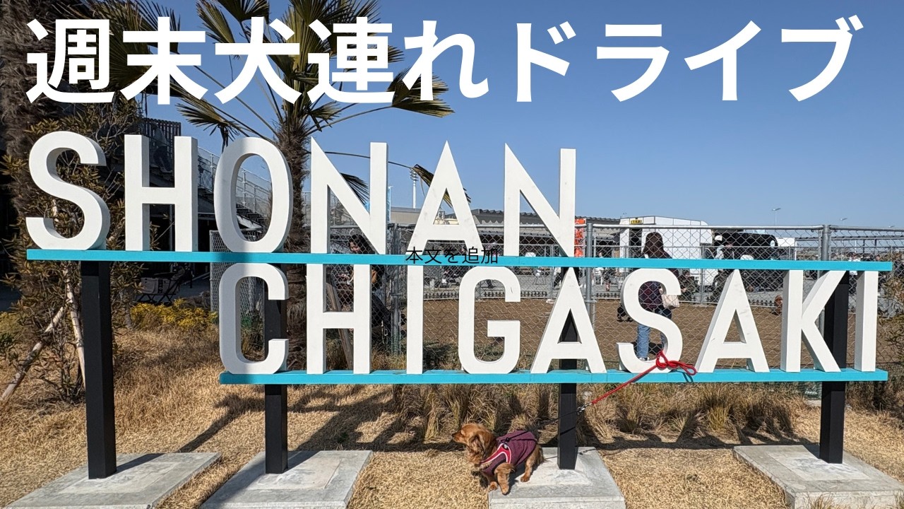 楽しかった！道の駅湘南茅ヶ崎でドッグランとお買い物