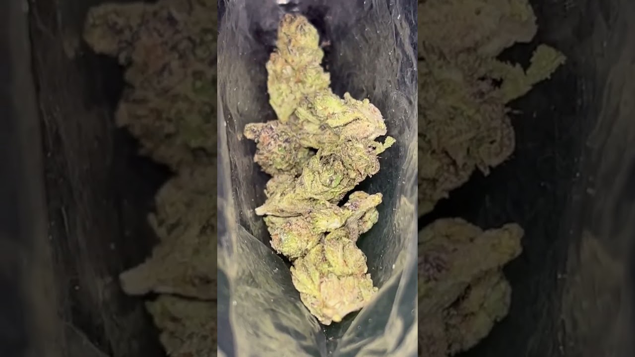 Exotic gas
