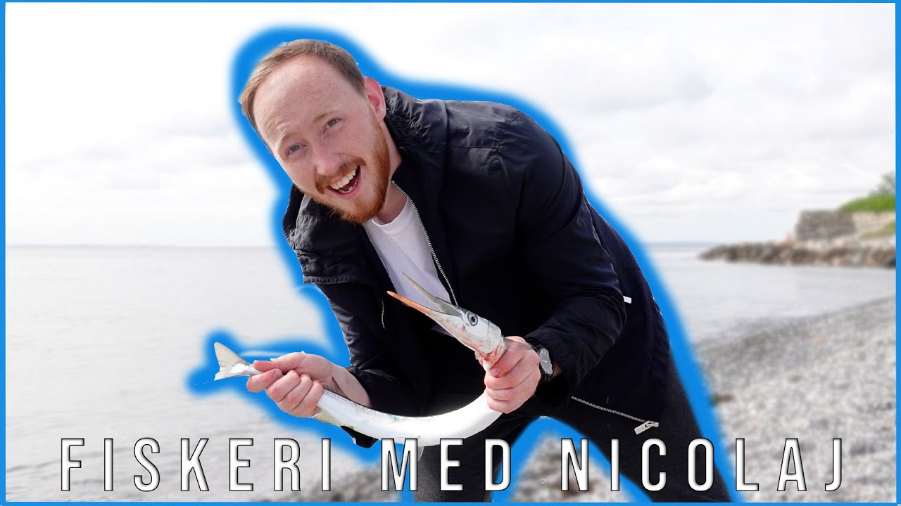 Forårsfriske Hornfisk - Fisketur's vlog