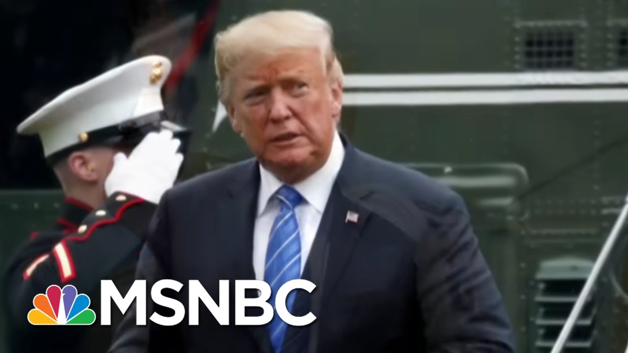 Richard Painter: Donald Trump Talks, Thinks, & Acts Like A Mob Boss | The 11th Hour | MSNBC