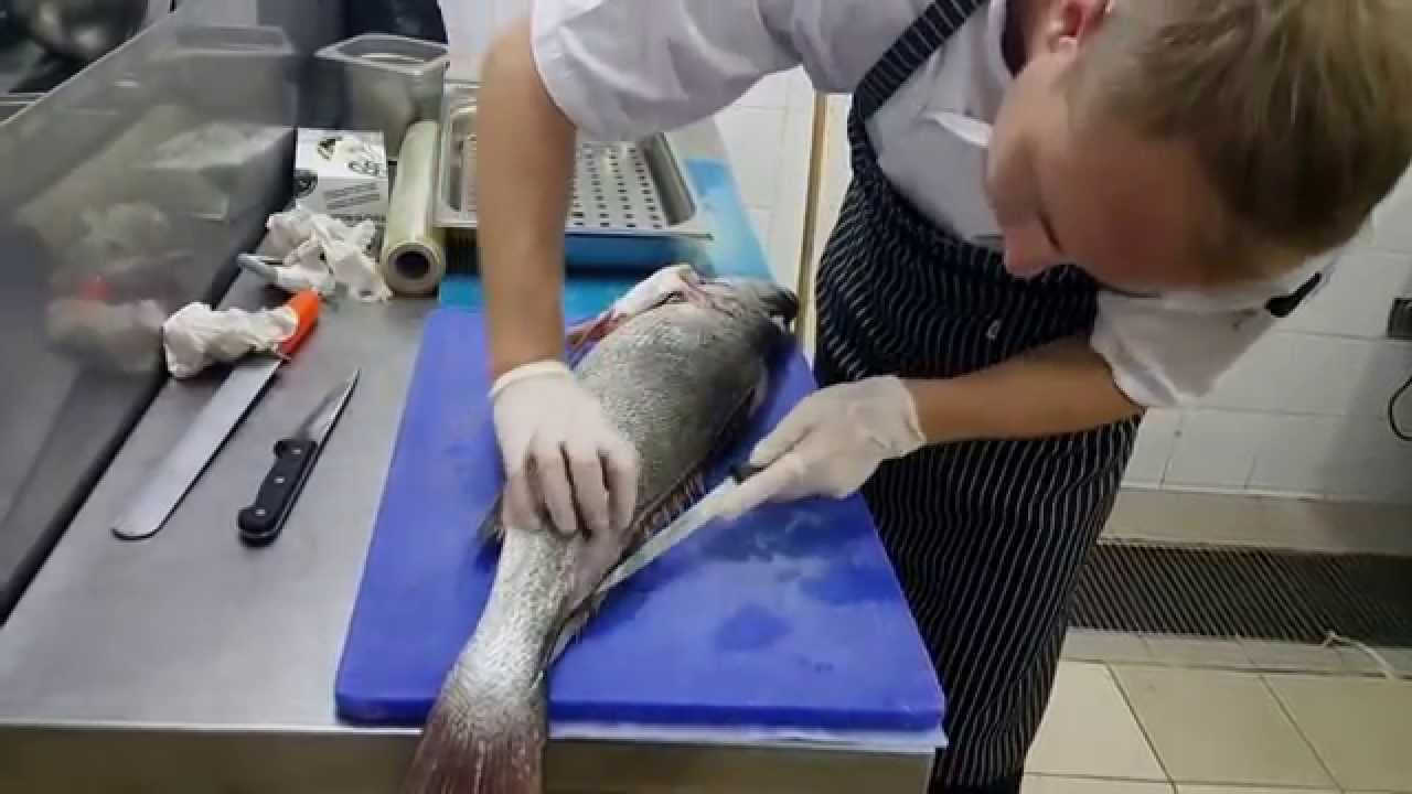 How to fillet a fish - Corvina