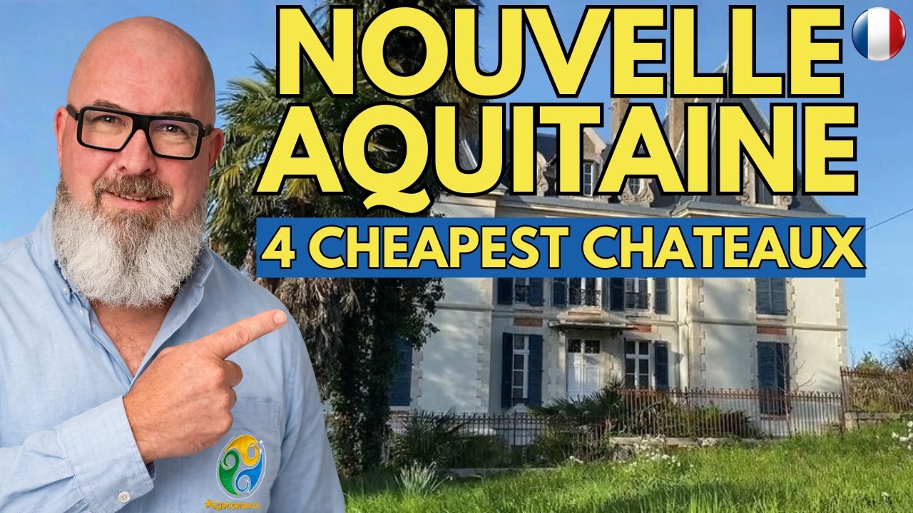 NOUVELLE AQUITAINE - The 4 Cheapest Chateaux for sale.