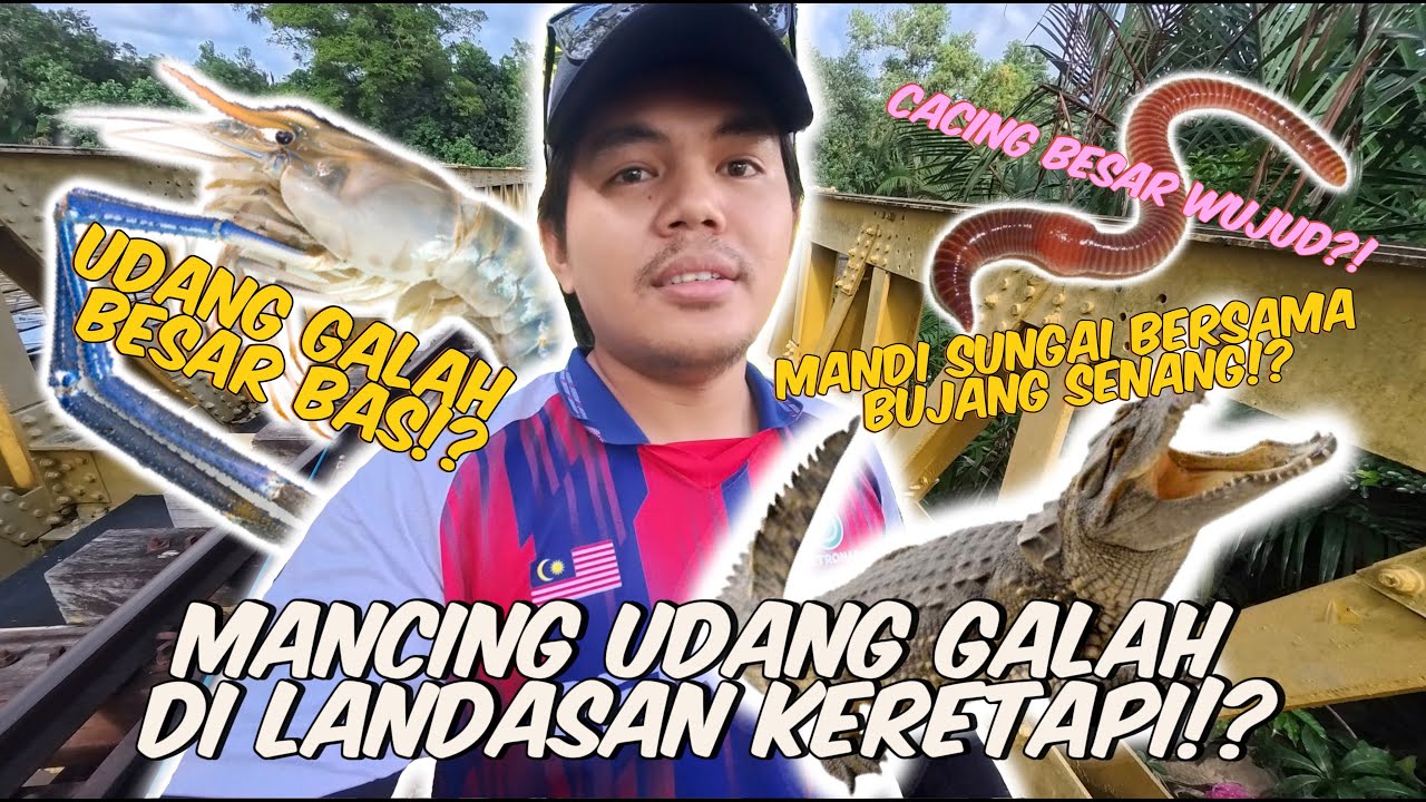 MEMBURU UDANG GALAH DI SUNGAI!! BERSAMA BUAYA!?