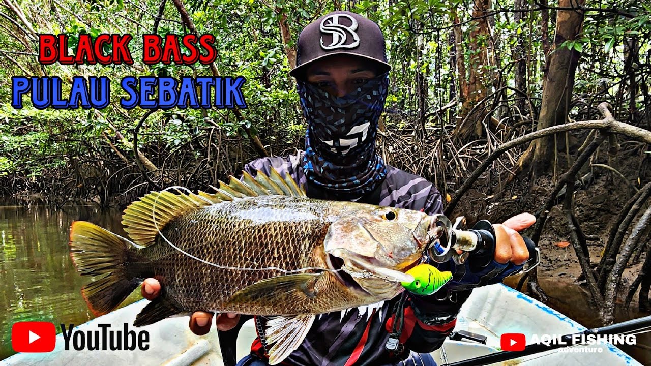 Black Bass ‼️ Pulau sebatik..Tawau sabah #vlog #blackbass #pulausebatik  #fishing