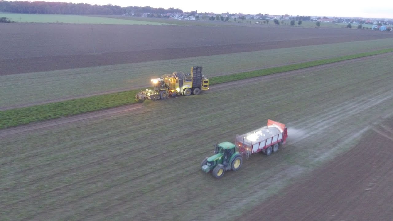 [RYCZĄCY 8100]Kampania Buraczana w GRU Marciniak[Kopanie/wapno/siew][ROPA/FENDT/JOHN DEERE/JCB]2020