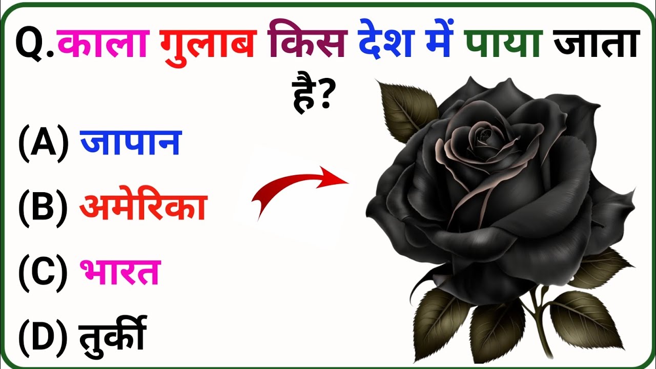 Gk Question || Gk Question And Answer || Gk In Hindi || Upsc interview || Gk important question 