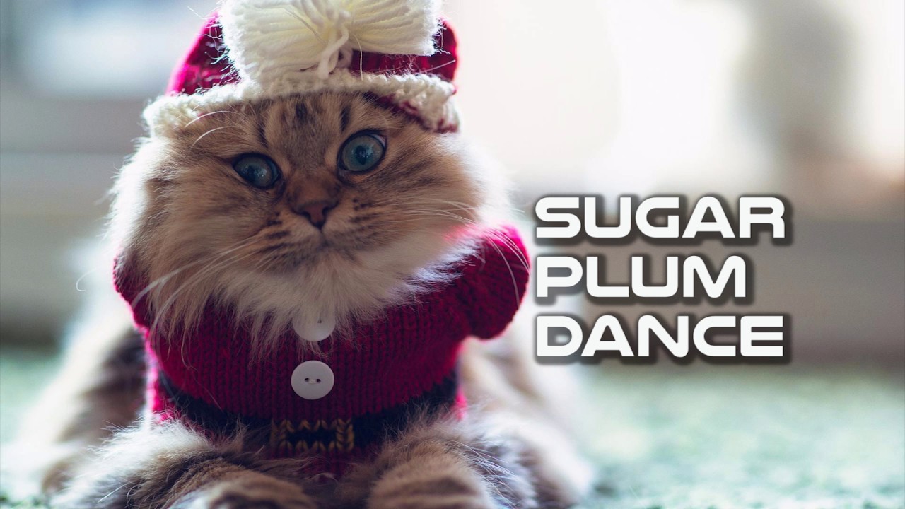 Sugar Plum Dance -- Holiday/Background -- Royalty Free Music