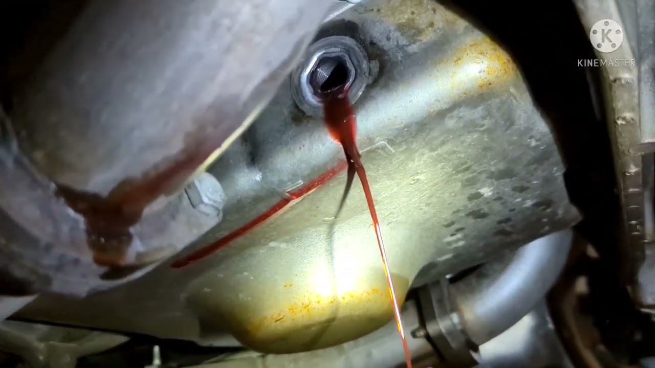 Where's the dipstick?!?  Filling ATF on a C5 Corvette