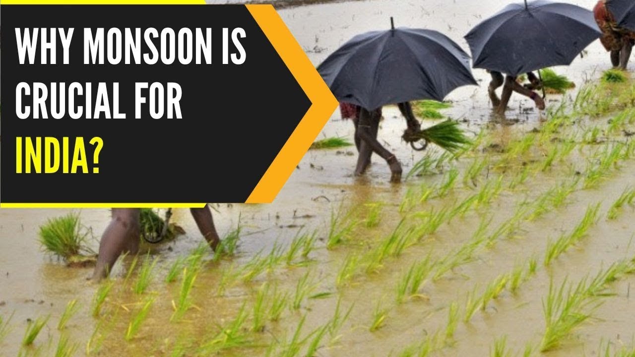 How important is the monsoon for the Indian economy? | WION Originals