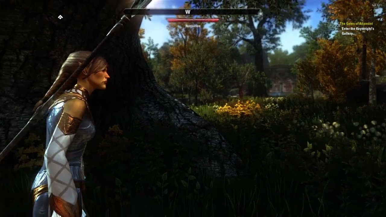Elder Scrolls Online Ray Tracing RESHADE graphic preset like nearly Skyrim ENB preset