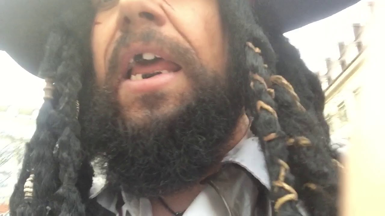 Wilde Schweden am Asmus-Bremer-Platz beim Kieler Umschlag 2019