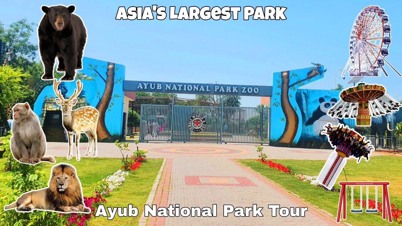 Ayub National Park Tour | Asia's Largest Park | Detail Tour | Ayesha's Cook and Vlog💕