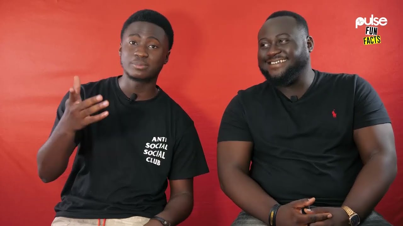 SAVEZ-VOUS QUE BIGGY & PAULYVESHEYTIEN SONT FRÈRES ? | Pulse Fun Facts
