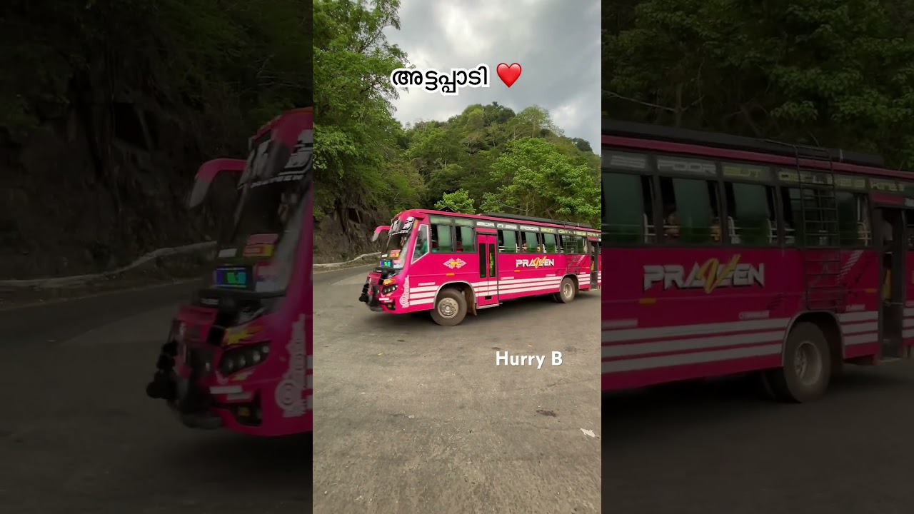 അട്ടപ്പാടി ചുരം | Attappadi Churam | Palakkad | Mannarkkad | Bus Entry | Kerala Tourist Place | Vlog