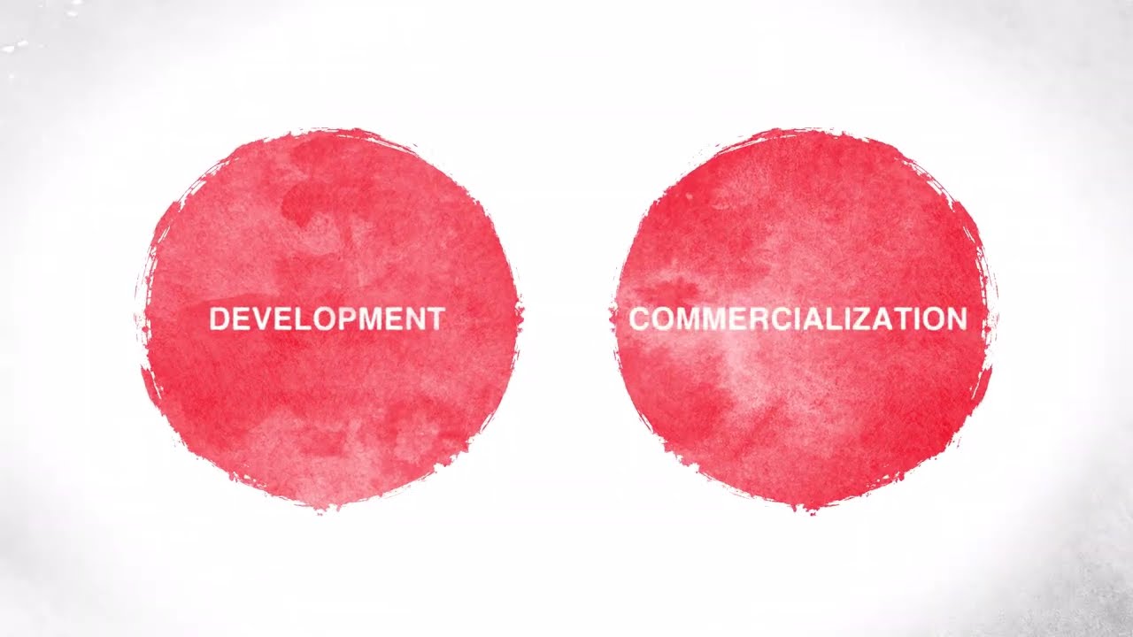 Working with a CDMO: Perception versus reality