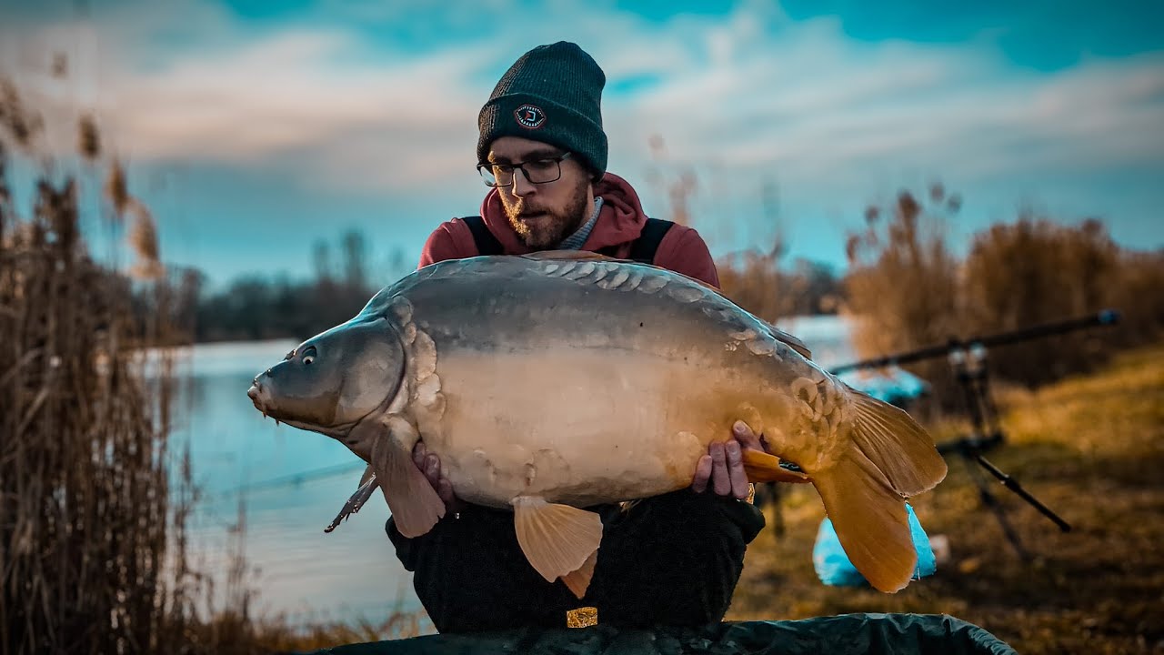 Epres Halas oldódó bojli gyúrása #bojli #carpfishing #horgászat #reels #shorts
