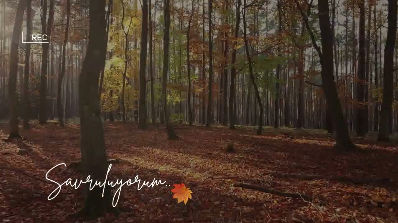 Savruluyorum....