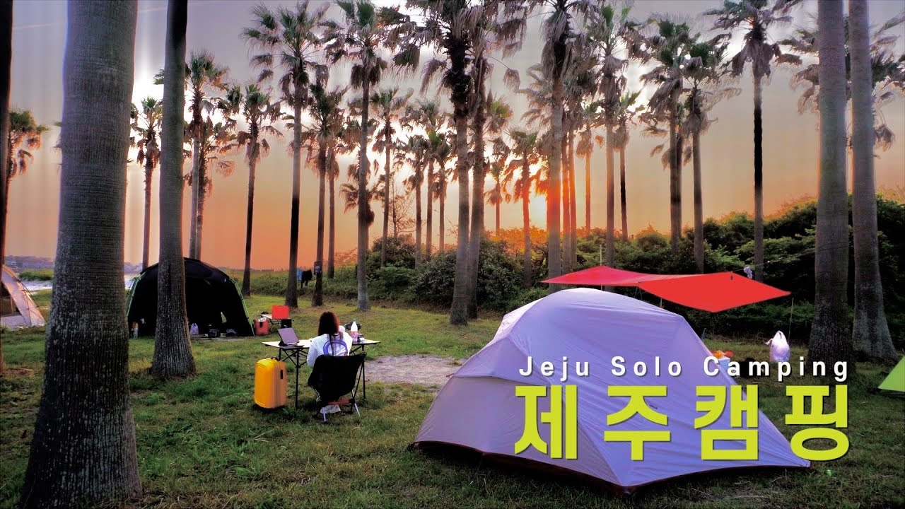 [4K]야자수에 노을까지 완벽한데 무료인 제주 야영장 웨안가?! | 기내용캐리어로 제주도 캠핑 도전 | 제주 금능해변야영장🌴