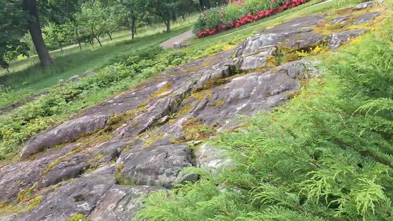 Päiväretki Helsinkiin