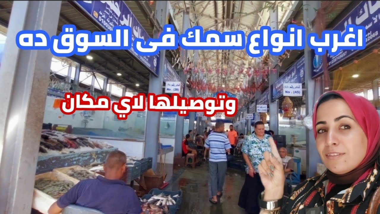 حلقه اسماك الغردقه| اغرب انواع السمك والاستاكوزا| وتوصيلها لكل المحافظات