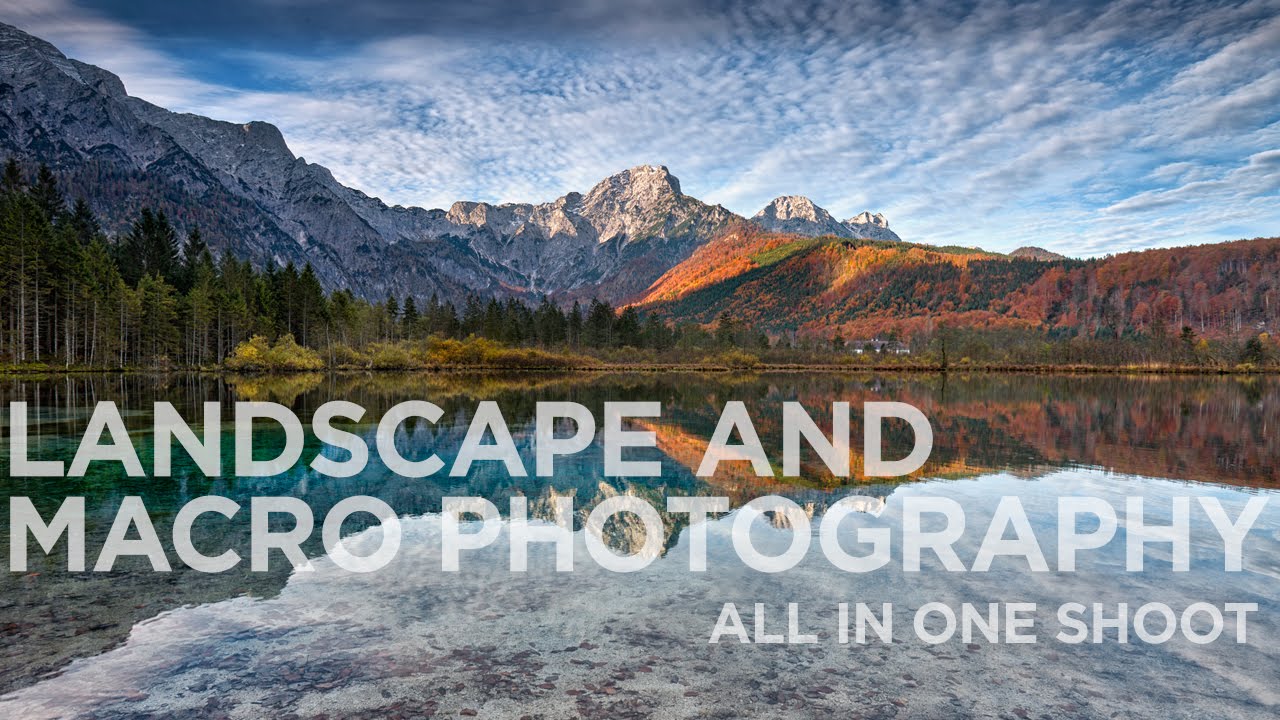 Landscape and macro photography: all in one shoot - Canon