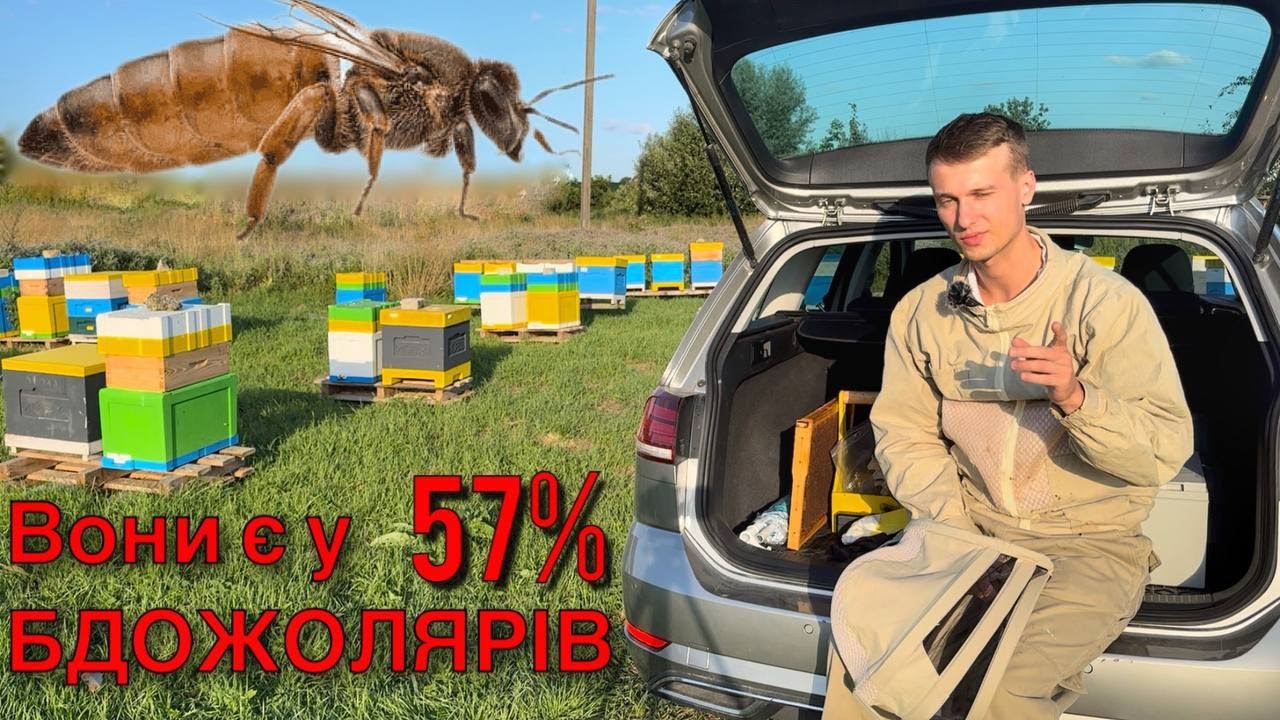 ПОРОДИ БДЖІЛ. Одвічна боротьба, яка порода краще. А дійсно, ЯКА?