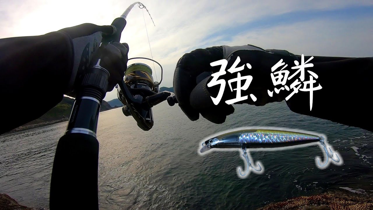 ストロングアサシンの実釣インプレ！青物おすすめミノーに奴が来た！