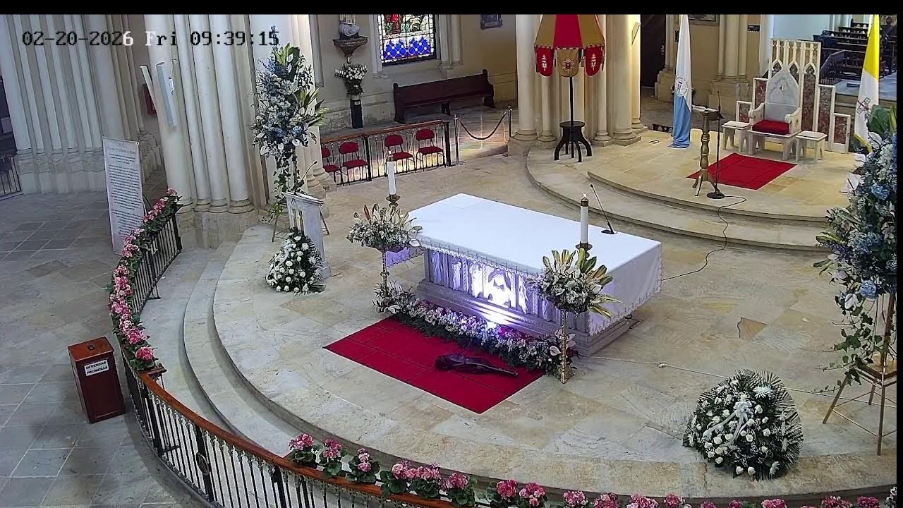 Transmisión Eucaristía Basílica de Lourdes   2025