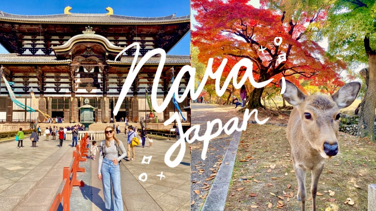 NARA & OSAKA | Nara Deer Park, Shinsekai, & More!