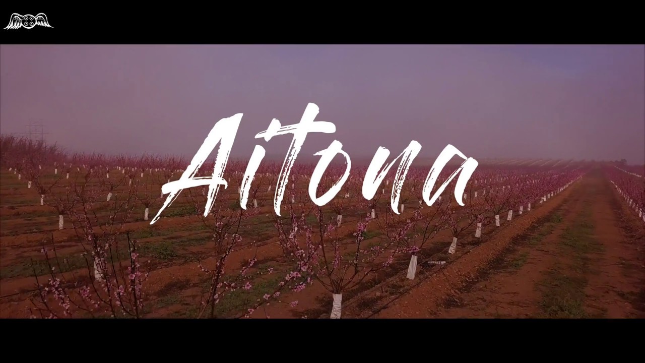 Floración frutales Aitona, Lleida (Spain) Rescuebcn 4k