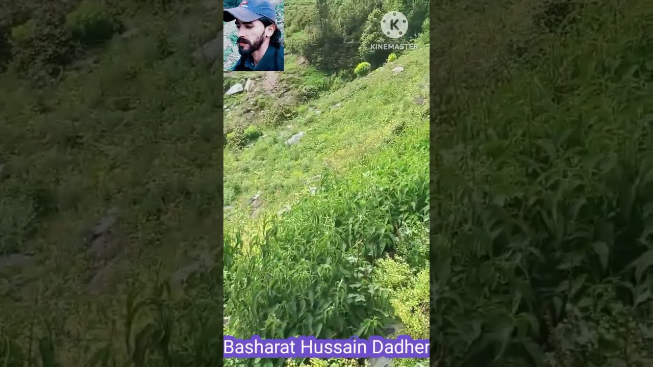 New_gojri_videos_{2025}_Desi_culture_Gojri and_Pahadi_#gojri#and@gojri_