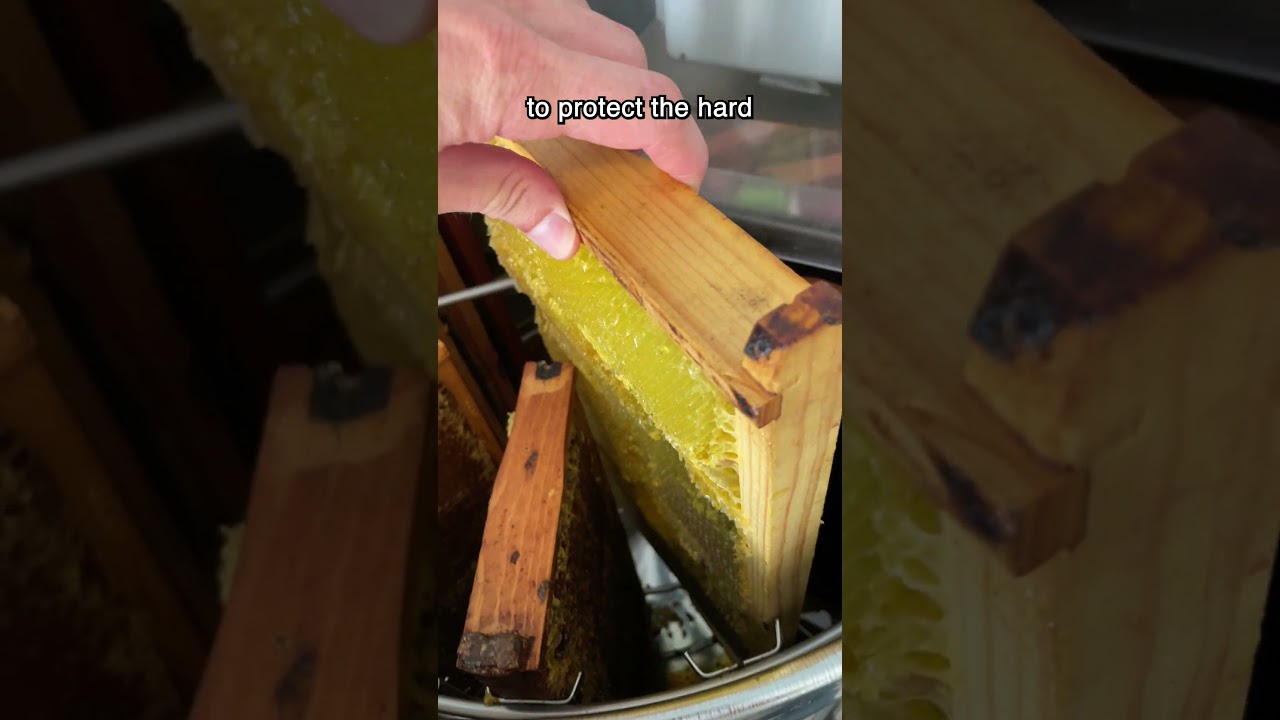 There's a reason for doing it this way #shorts #beekeeping #beekeeper #bees #honeybees #honey #comb