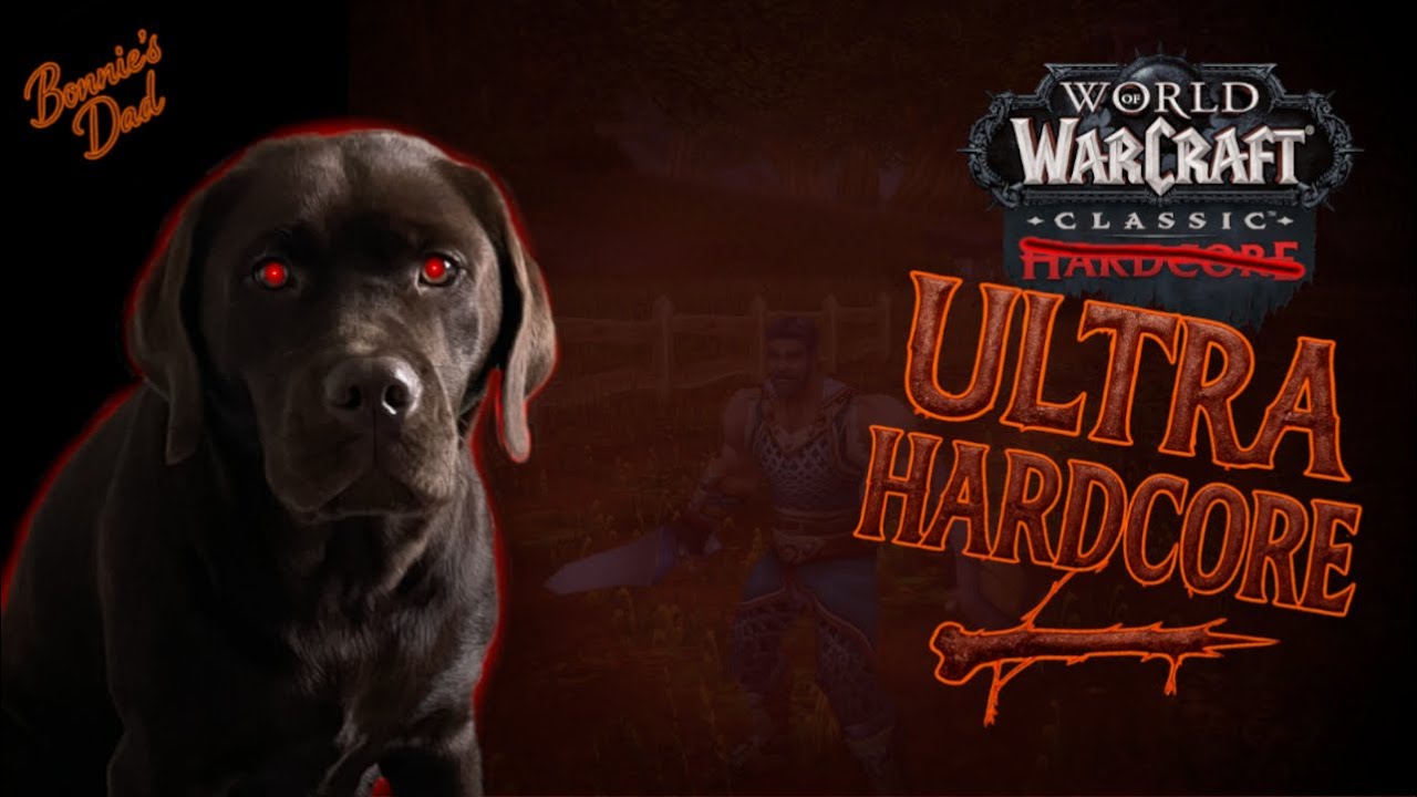 We Made the Hardest WoW Addon