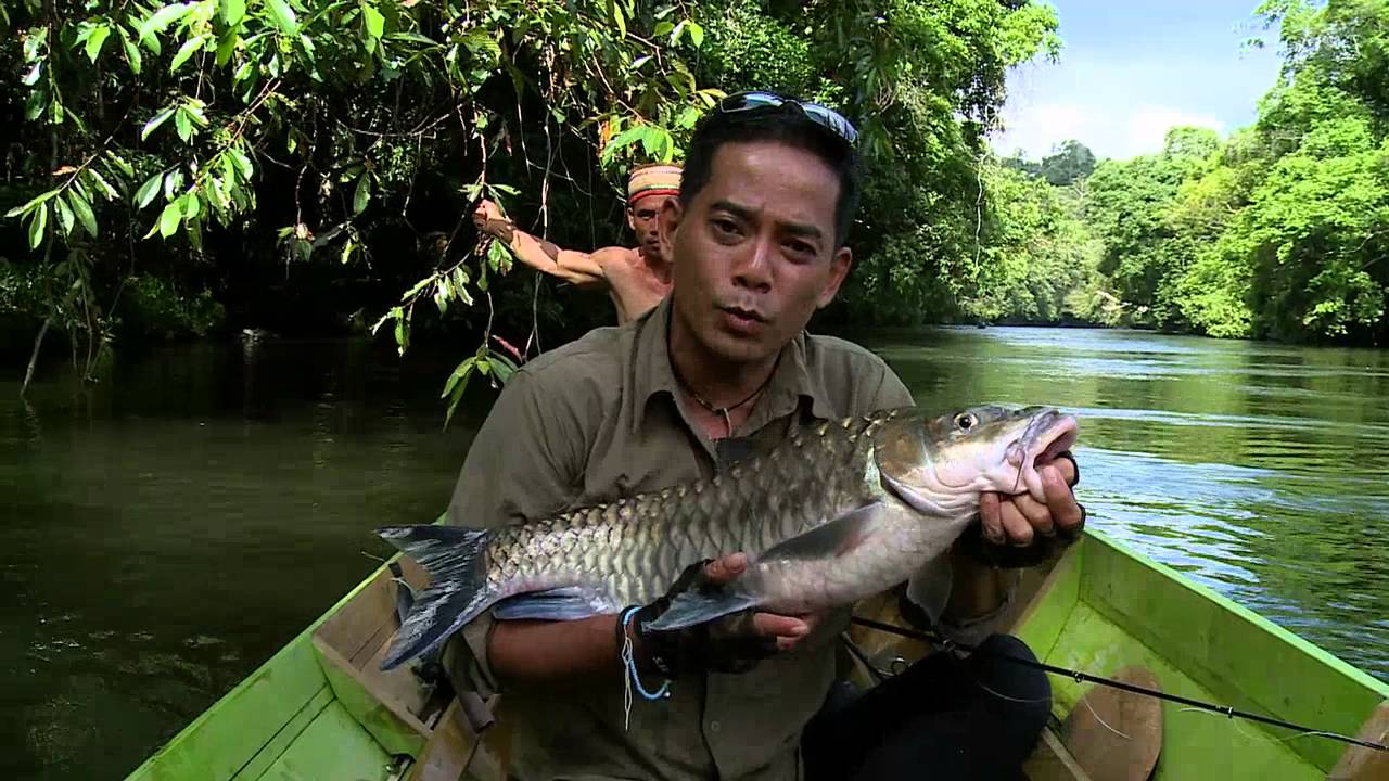 JEJAK PETUALANG - PERBURUAN DI NEGERI JERAM MAHAKAM ULU (30/3/16) 3-1
