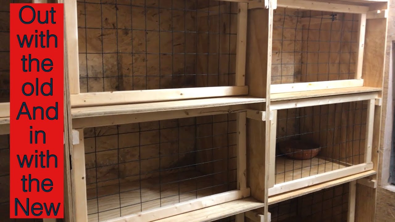 Pigeon loft updates.