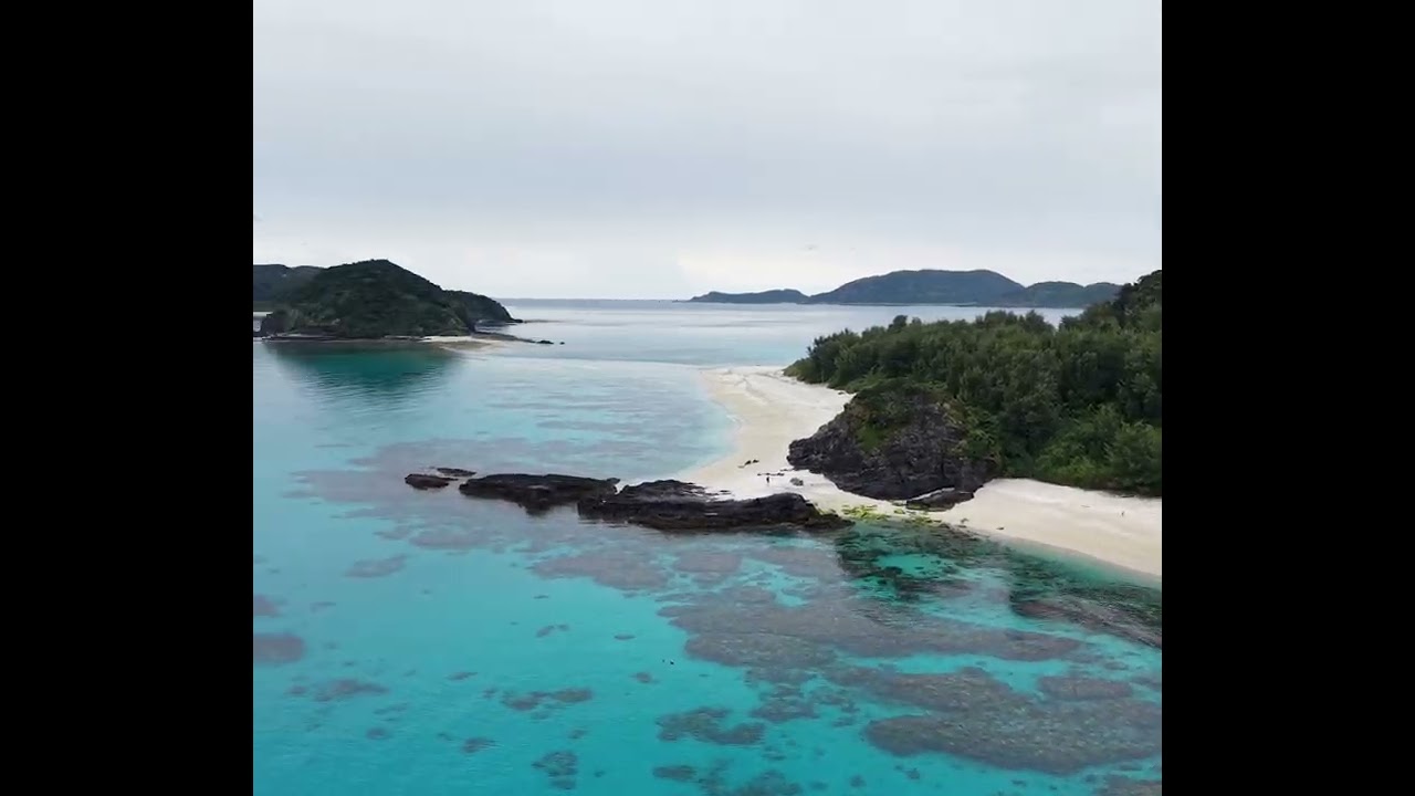 2026.02.20 Zamami island / 慶良間諸島 座間味島