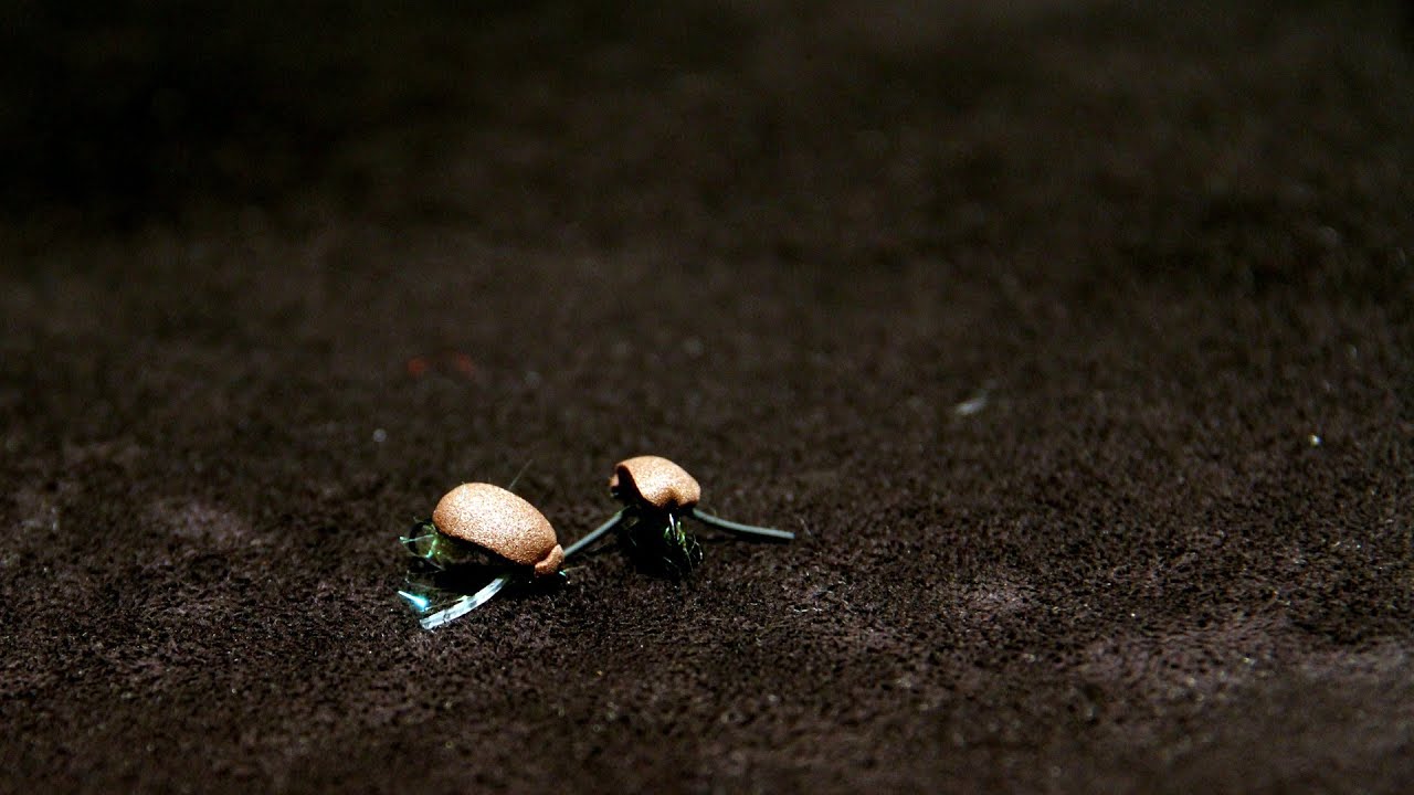Corixa Flugbindning