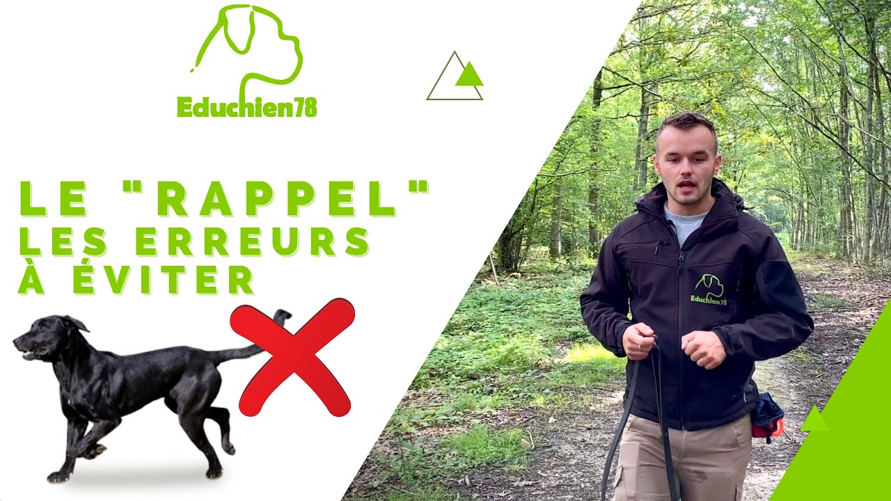 LES ERREURS À ÉVITER AVEC LE RAPPEL  -  Educhien78