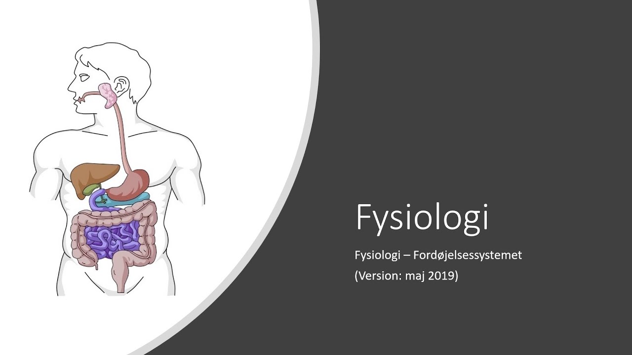 1. semester) Fysiologi - Ford&oslash;jelsen