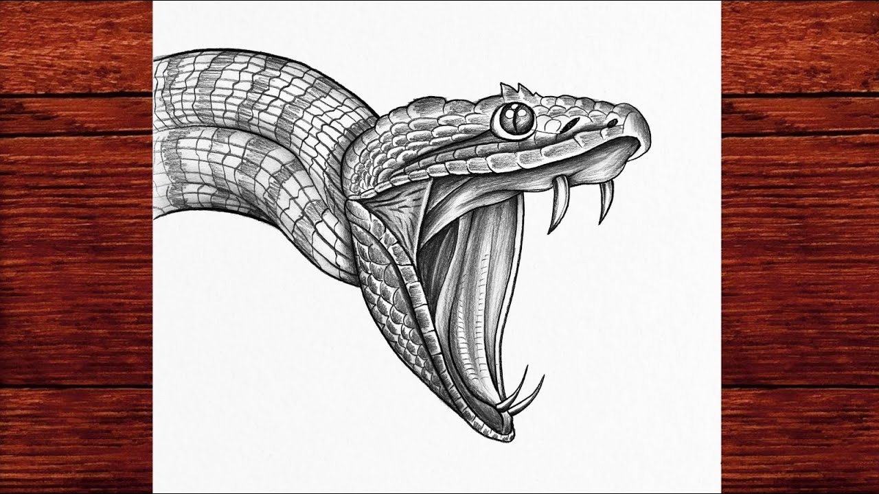 How To Draw A Snake Step by Step | Easy Reptile Pencil Sketch Tutorial for Beginners