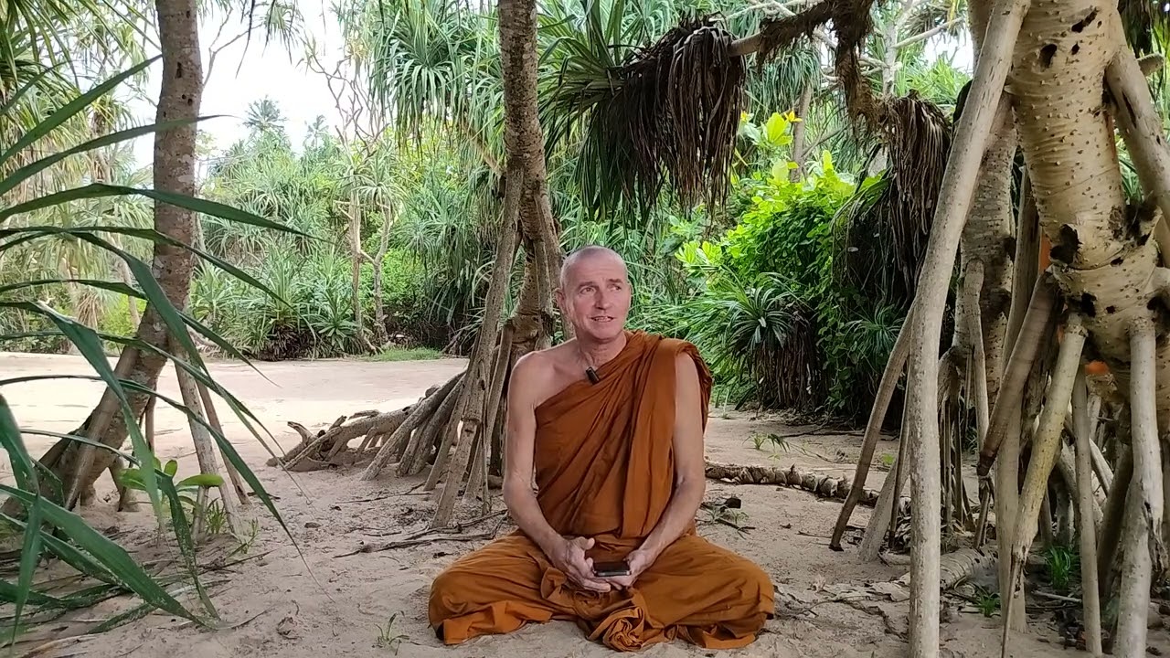 MONK's Q&A's HOW to MEDITATE