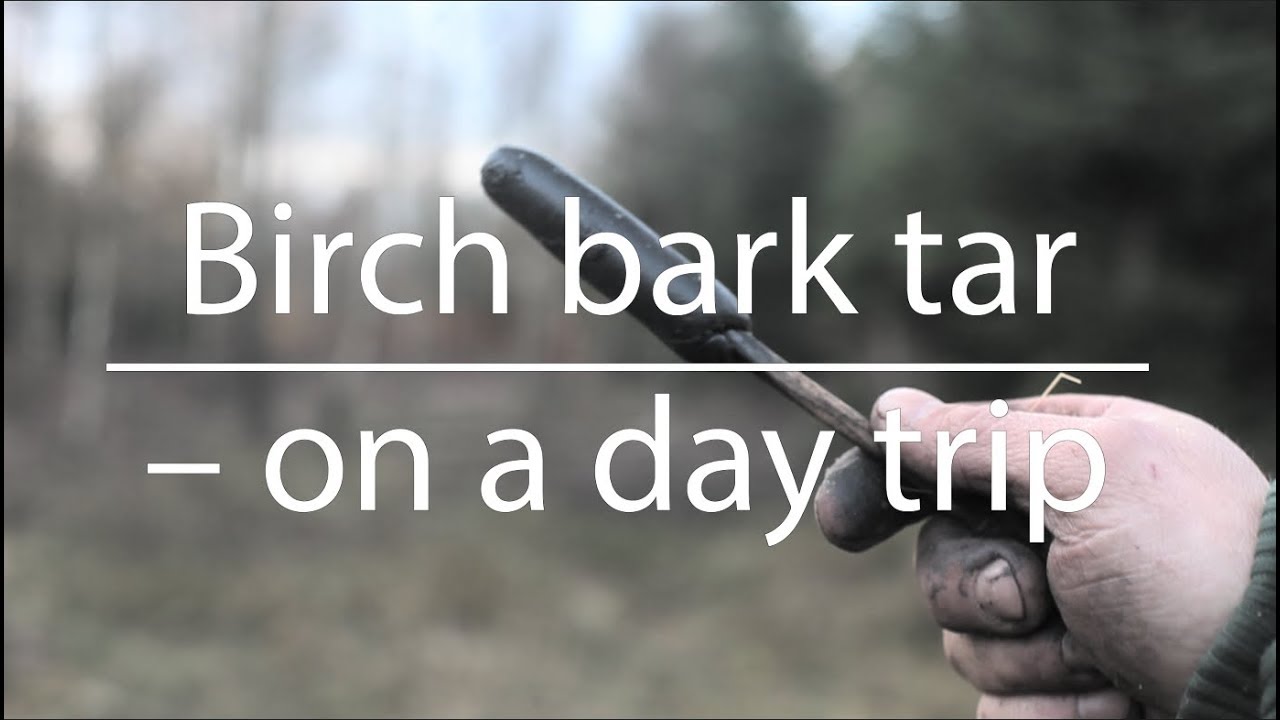 Birch bark tar – on a day trip (Bushcraft)