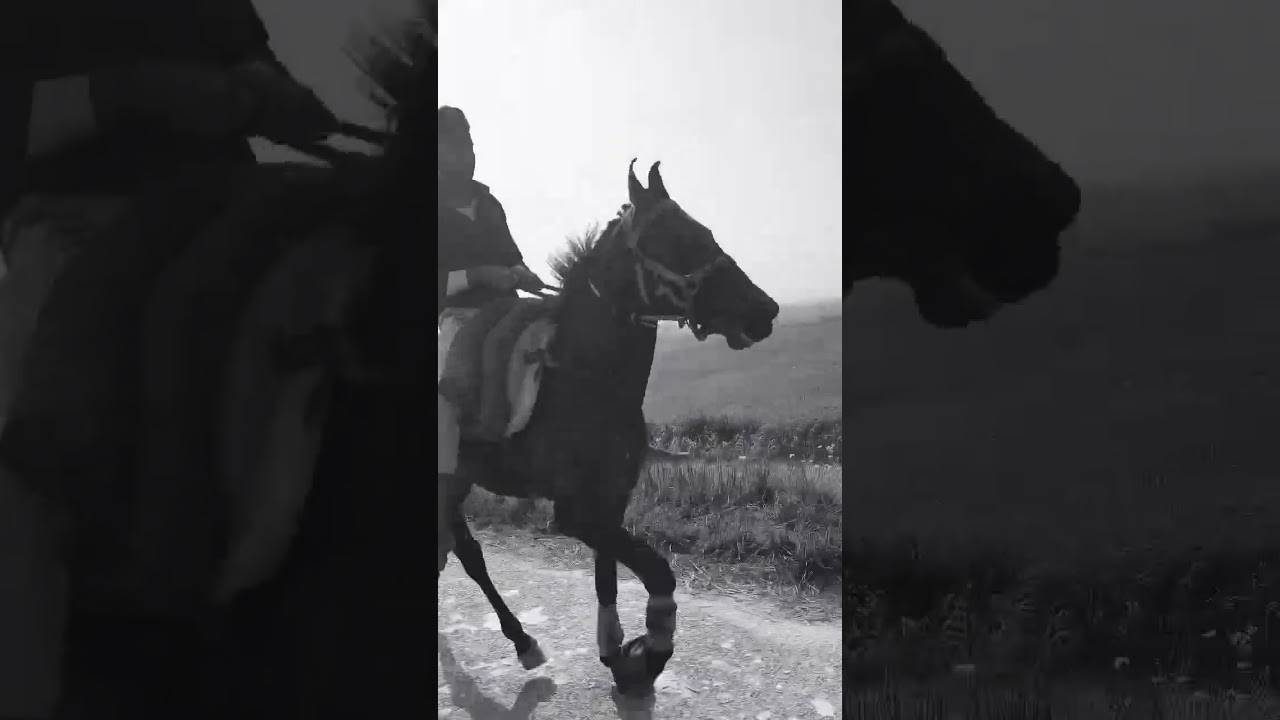 Garha Mela Muzaffarpur Bihar 2026 ki taiyari 🐎✨🤠